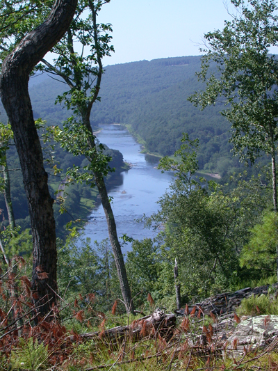View of the upper Delaware River. Photo by Sandy Schultz.